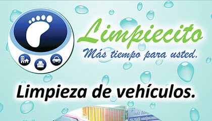 Volante Limpiecito